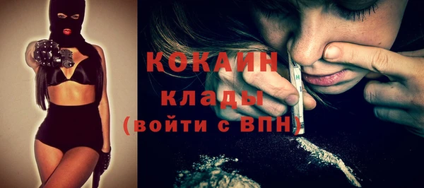 альфа пвп Елизово