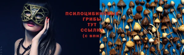 стаф Елабуга