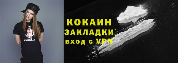 кокс Ельня