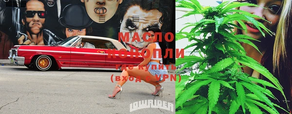 кокс Ельня