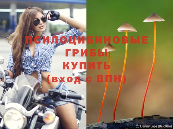 кокс Ельня