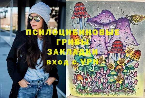 стаф Елабуга