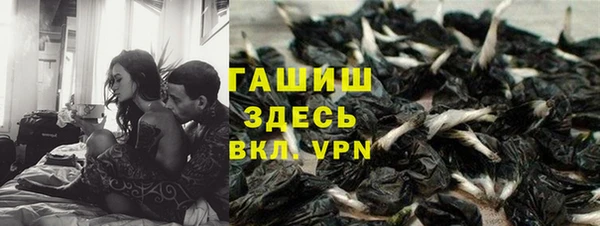 кокс Ельня